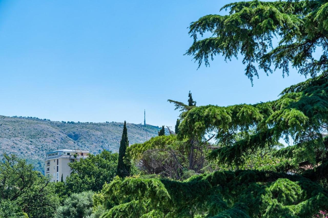 Apartments Zadro Dubrovnik Extérieur photo